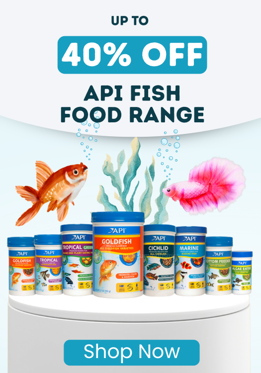 API Fish Food Special