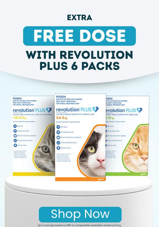 Revolution Plus Special