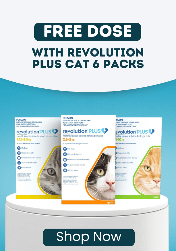 Free Dose Revolution Plus for Cats