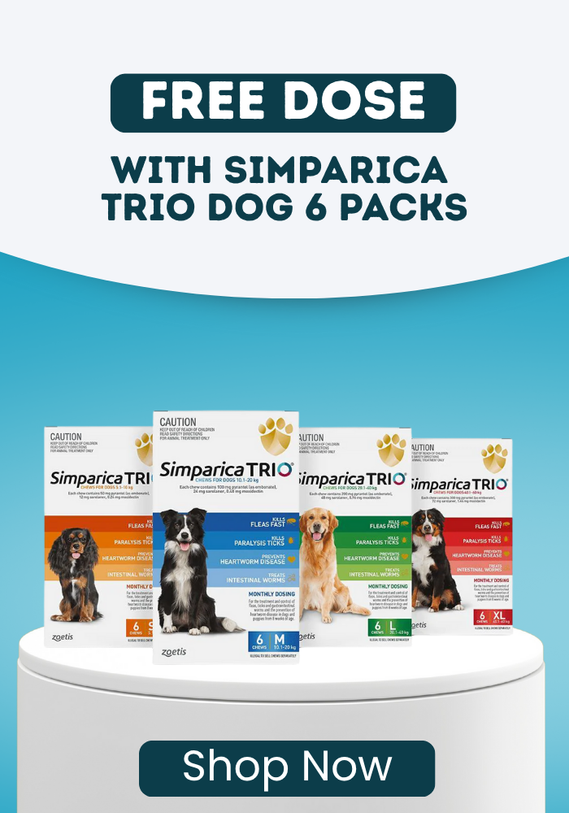 Free Dose with Simparica Trio 6 Packs
