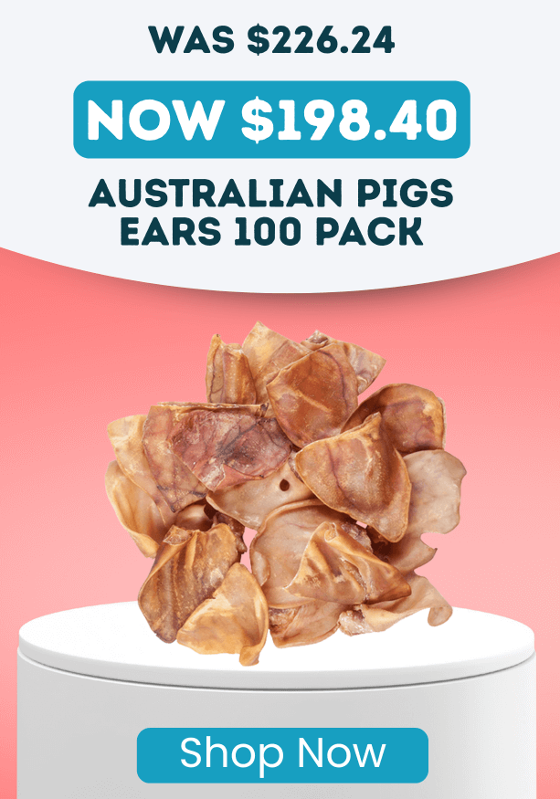 Huge Sale On Australian Pigs Ears