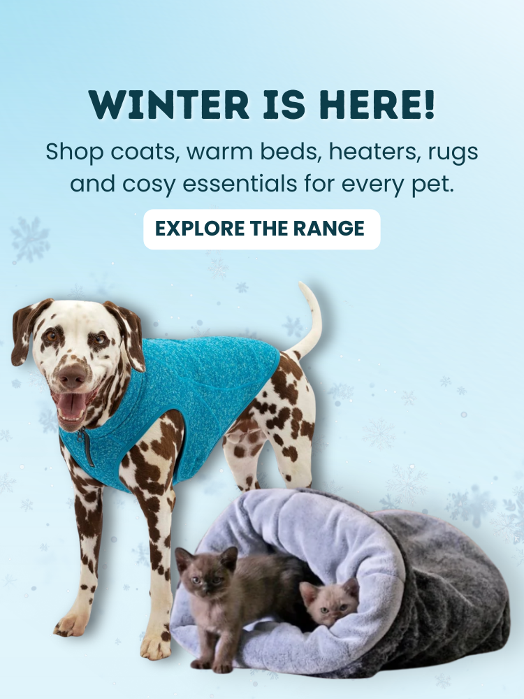 Winter Is Coming