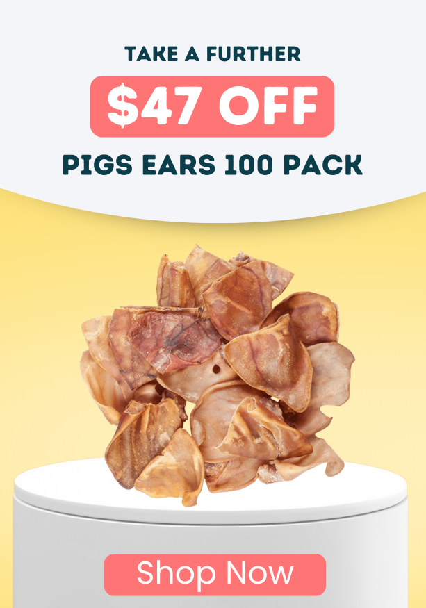 Take A Further $47 OFF Pigs Ears 100 pack
