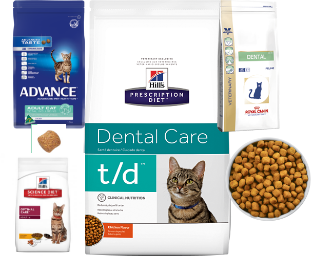 Advance dental cat food cheap