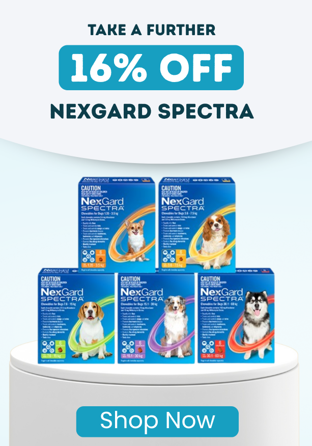Nexgard Spectra Sale
