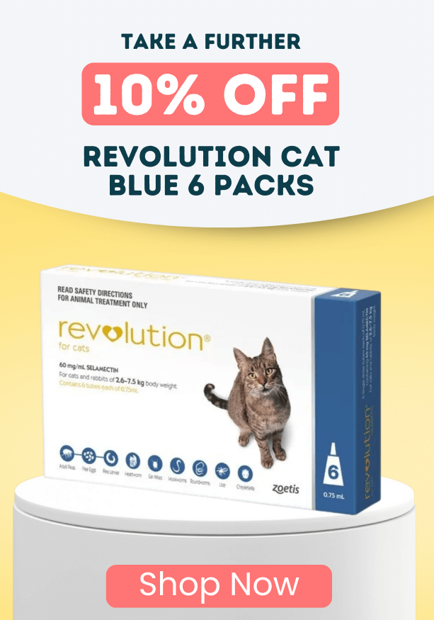 Take a further 10% off Revolution Blue 6 Packs For Cats