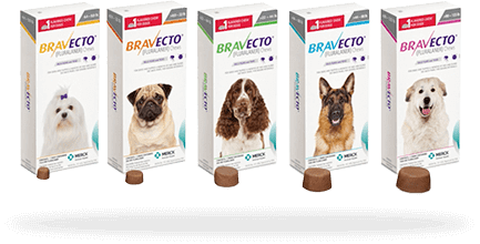 bravecto