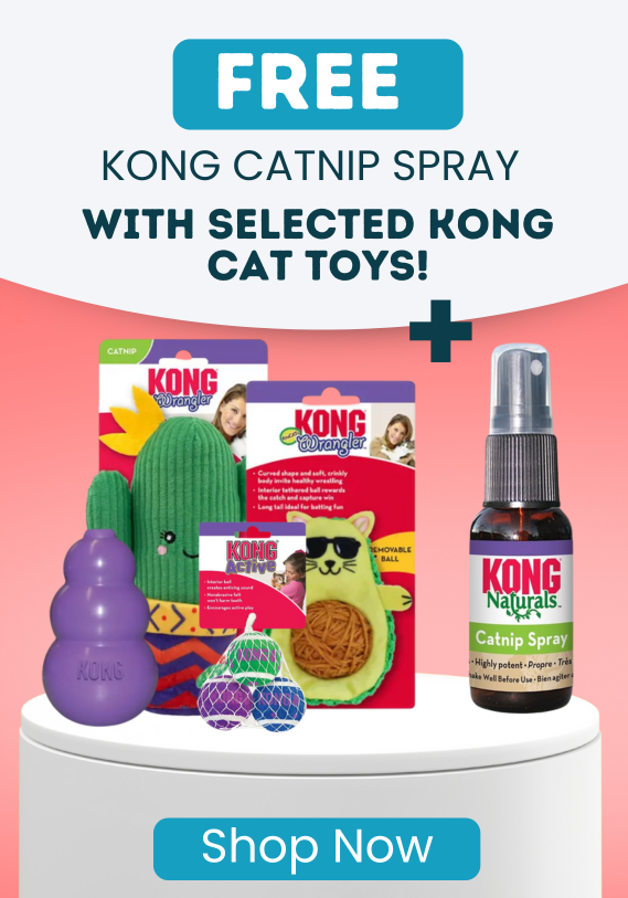 Free KONG Catnip With KONG Cat Toys