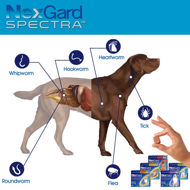 vet shed nexgard