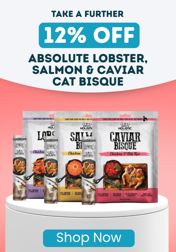 Take A Further 15% Off Absolute Bisque