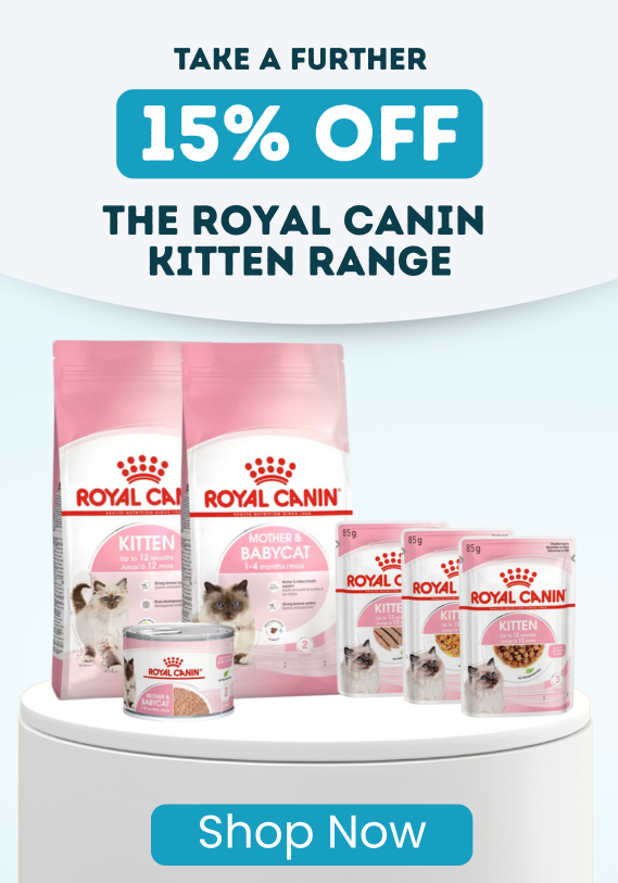 Take A Further 15% Off The KONG Kitten Range