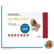 Revolution Red 6pk - Dogs 10 - 20kg *PLUS FREE Canex tablets*