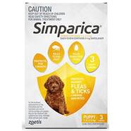Simparica for Pups and small dogs 1.3-2.5kg 3 pack 