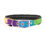 Soft Nylon Padded Collar 3/4" wide Rainbow