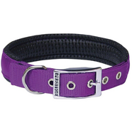 Soft Padded Nylon Collar 1" x 20" (51cm) - Purple