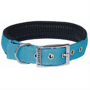Soft Padded Nylon Collar 1" x 20" (51cm) -Turquoise