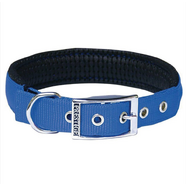 Soft Padded Nylon Collar 1" x 22" (56cm) - Blue