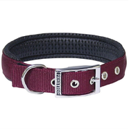 Soft Padded Nylon Collar 1" x 22" (56cm) - Burgundy