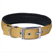 Soft Padded Nylon Collar 1" x 22" (56cm) - Gold