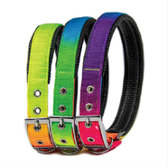 Soft Padded Nylon Collar 1" x 24" (61cm) - Rainbow