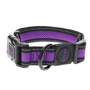 Scream Reflective Adj Collar Loud Purple 2.5X35-51cm