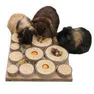 Maze-A-Log Treat Challenge for Small Animals