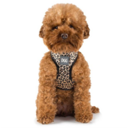 DGG Easy Walker Harness - Leopard