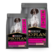 Pro Plan Sensitive Skin & Stomach MED/LRG Breed Dry Dog Food