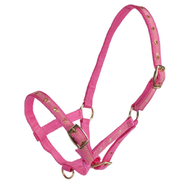 Rancher Deluxe Foal Halter