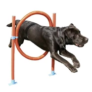 Rosewood Agility Hoop Jump for Dogs
