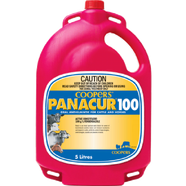 Panacur 100 for horses and cattle 5 Litre