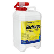 Recharge Horse 5 litre