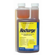 Recharge Horse 1 litre