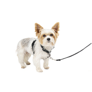 Petsafe 3 in 1 Harness & Car Restraint Extra Small