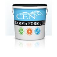 CEN Gamma 2L
