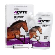 4Cyte Epiitalis Forte Gel  250mls Joint supplement for horses 
