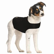 Zendog Calming Shirt Medium (Chest 50-66Cm)