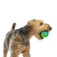 Guru Pocket Ball Medium/Large 9.5X9.5X9.5Cm