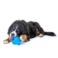 Guru Puzzle Jack Medium 14X14X14Cm
