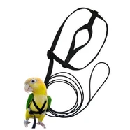The Aviator X-Large Bird Harness & Leash - Black