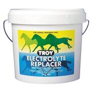 Troy Electrolyte Replacer 3kg