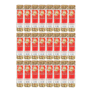 Passwell Avian Delight Parrot 75gm (red label with cockatiel) x 24pk