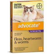 Advocate Cat SINGLE Dose Pack Purple for cats over 4kg
