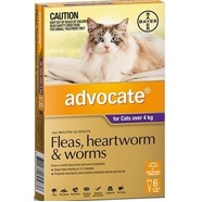 Advocate Cat Purple 6pk for cats over 4kg 