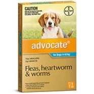 Advocate Medium Dog Aqua SINGLE DOSE Pack for dogs 4 -10kg