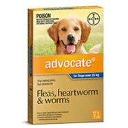Advocate Extra Large Dog SINGLE DOSE Blue for dogs over 25-40kg