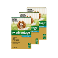 Advantage Spot-On for Medium Dogs 4 - 10kg (Aqua)