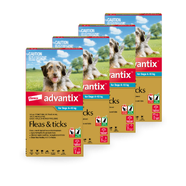 Advantix Spot-On for Medium Dogs 4-10kg (Aqua)