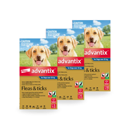 Advantix Spot-On for XLarge Dogs Over 25kg (Blue)