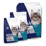 Advance Indoor Adult Chicken Dry Cat Food